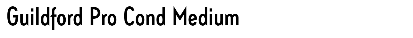 Guildford Pro Cond Medium image